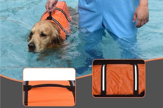 Gouden retriever in oranje reddingsvest zwemt in blauw water. Twee close-ups tonen het reddingsvest.