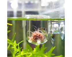 Voederbak Voor Aquarium - Transparante Voedingsbeker Met Zuignap - Stevige Constructie Voor Levend Voer - Handig Glasgat Voor Groente - Inclusief Zuignap Bevestiging - Geschikt Voor Tropische Vissen