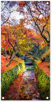 Affiche de jardin Vue sur les feuilles colorées des érables - 40x80 cm