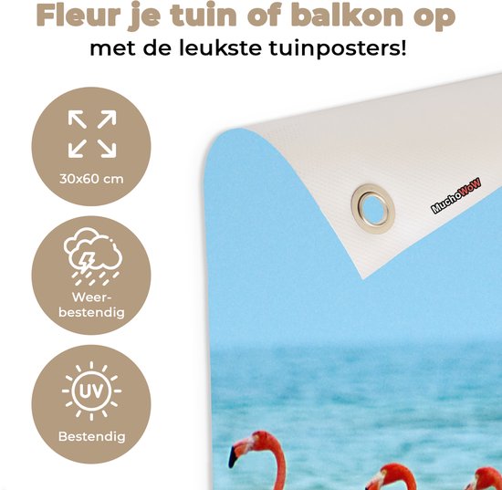 Affiche de jardin Quatre flamants roses marchant dans l'eau - 30x60 cm