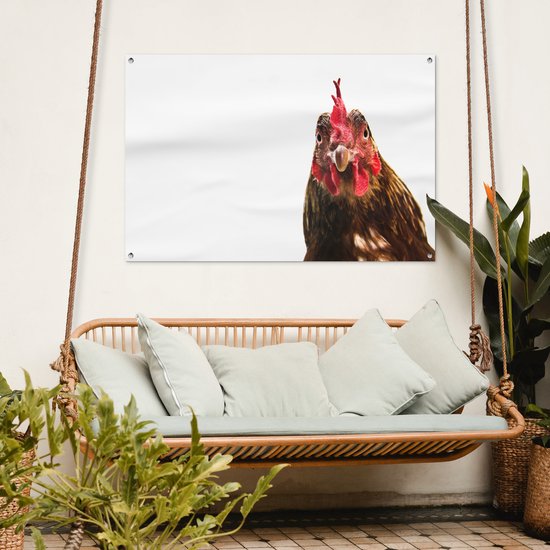Affiche de jardin gros plan coq 120x80 cm - Toile de jardin / Toile d'extérieur / Peintures d'extérieur (décoration de jardin)