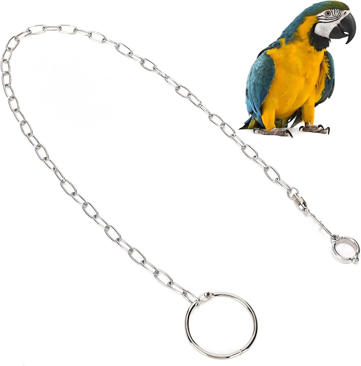 Duurzame Voetketting voor Kleine Vogels, RVS Enkelband en Trainingsring voor Papegaaien en Huisdieren