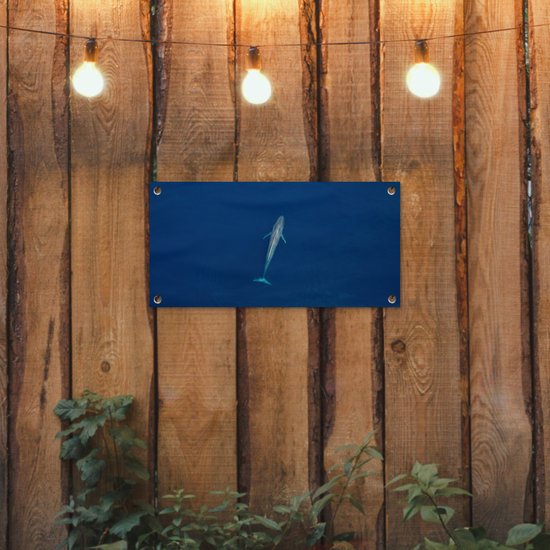 Une baleine bleue d'en haut Poster de jardin 60x30 cm - petit - Toile de jardin / Toile d'extérieur / Peintures pour l'extérieur (décoration de jardin)