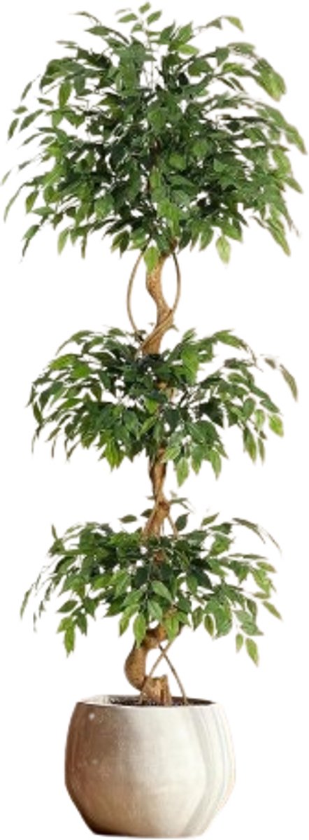 Cellista Kunst Ficusboom 120 cm - Kunstplant met Pot - Nep Boom Binnen Buiten - Decoratieve Ficusboom - Realistische Zijde Look