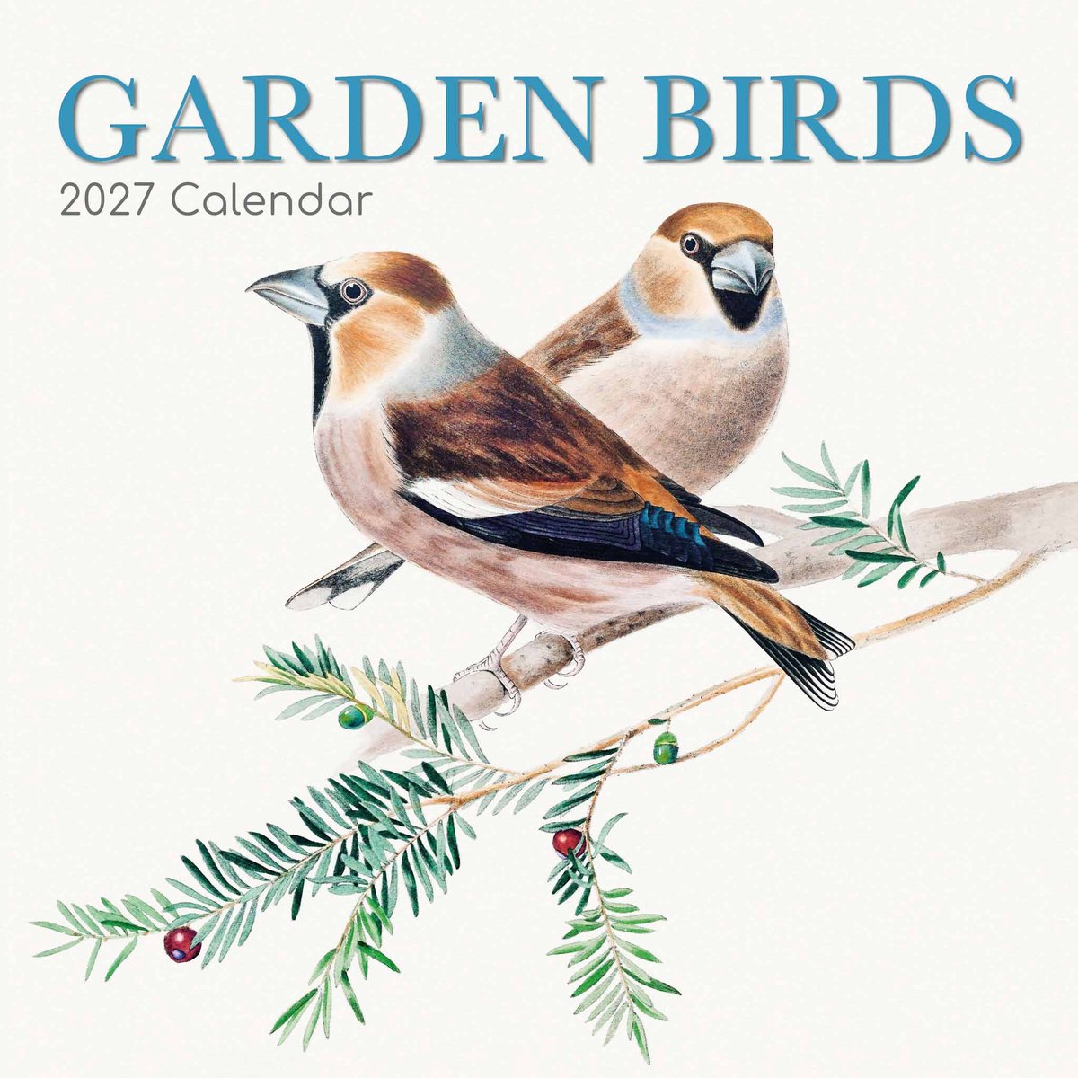 Garden Birds Kalender 2027