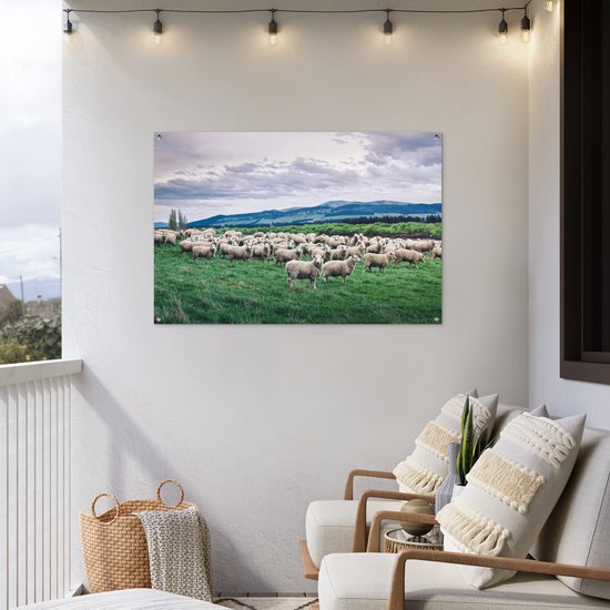 Tuinposter 120x80 cm - Tuindecoratie Schapen - Natuur - Gras - Poster voor in de tuin - Buiten decoratie - Schutting tuinschilderij - Tuindoek muurdecoratie - Wanddecoratie balkondoek