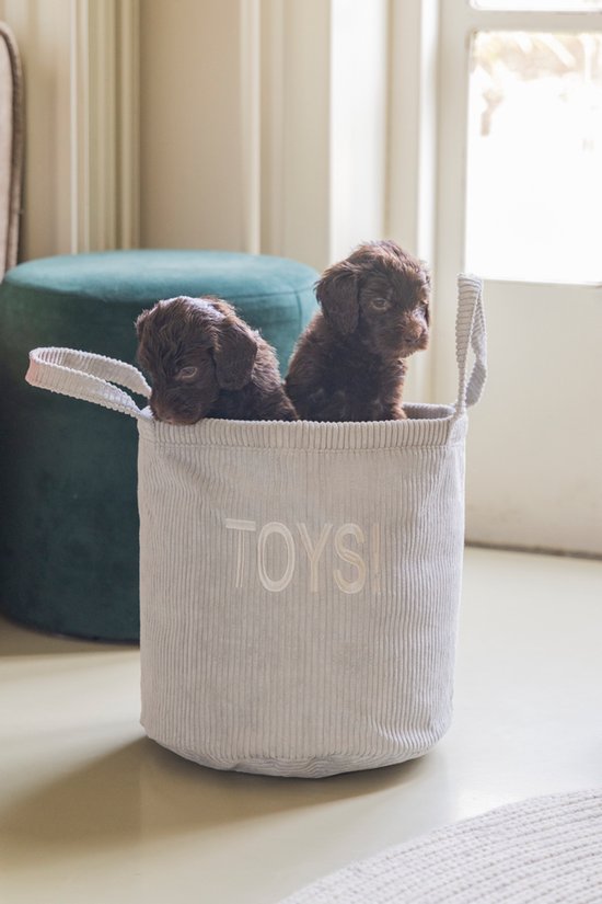 Deux chiots bruns dans un panier de rangement gris en velours côtelé avec "TOYS!" dessus.
