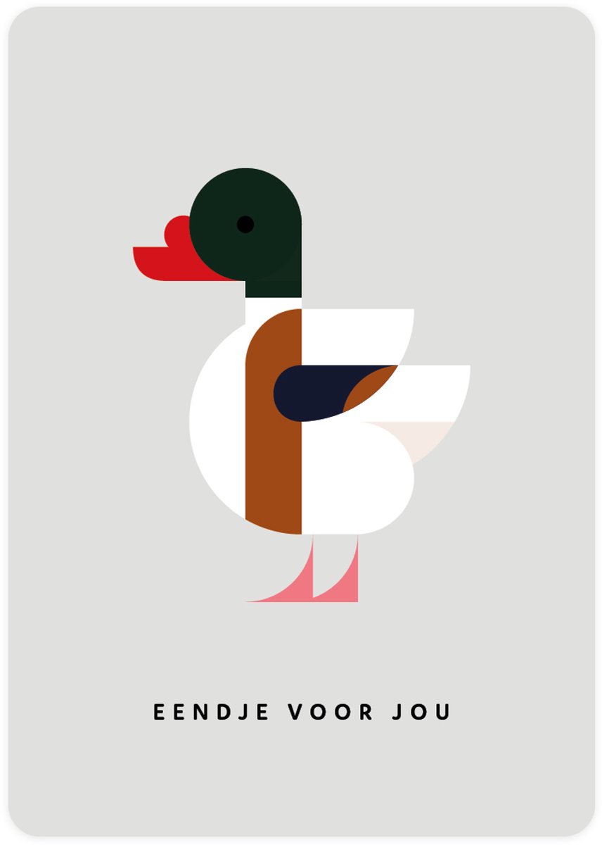 Eendje voor jou - 4x leuke verjaardagskaarten om te versturen - kaartenset - kaart met Bergeend - vier kaarten met vogels