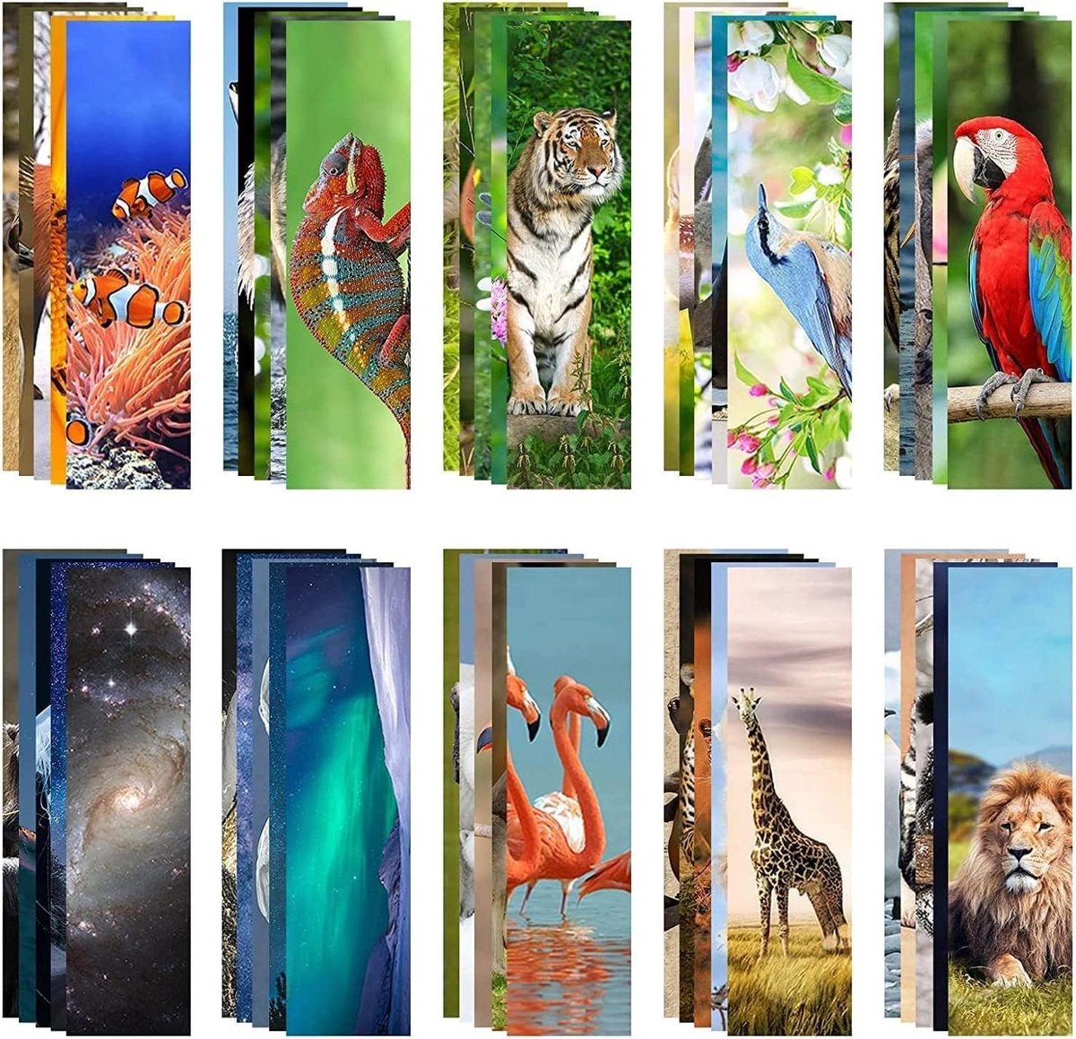 Dieren Bladwijzers - Boekenleggers Kinderen - Lezen Stimuleren - Dubbelzijdig Bedrukt - 200 stuks - Multicolor