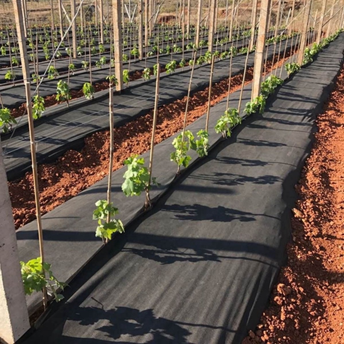 Wigo-Garden - Agrowłóknina Zwart - 160cm - 80g/m2 - 10m