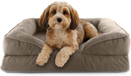 Un petit chien brun clair est couché dans un panier pour chien en velours côtelé marron avec un fond gris.