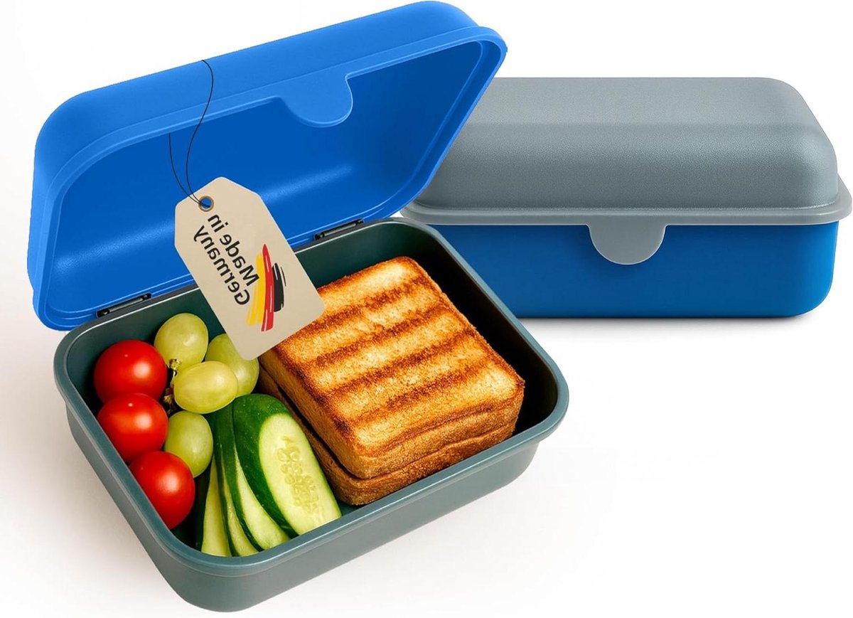 Lunchbox Set - Snackbox Ontbijtbox - School Kantoor Picknick - BPA-vrij Vriezerbestendig - 13x18x7 cm 1200ml - Blauw Grijs