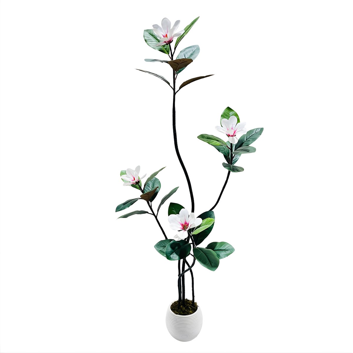 Happiq Nep Plant - Voor Huis of Kantoor - Kunstmatige Rubber- en Magnolia Boom - Witte Pot - Groen-150cm