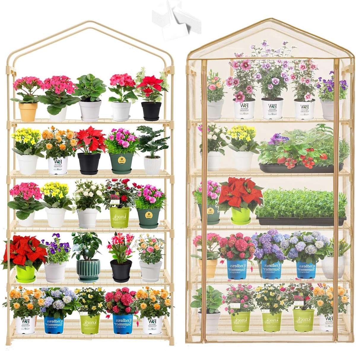 Tuin 50% extra brede mini-kas 5-laags draagbaar plantgroen huis 40" breed -Stevige tuinpla