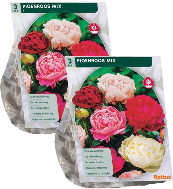 Pioenrozen, Mix per 3