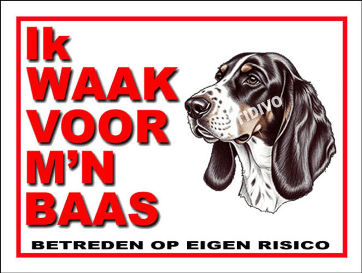 Berner Laufhund 9