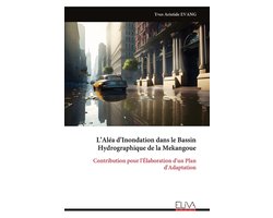 L'Aléa d'Inondation dans le Bassin Hydrographique de la Mekangoue