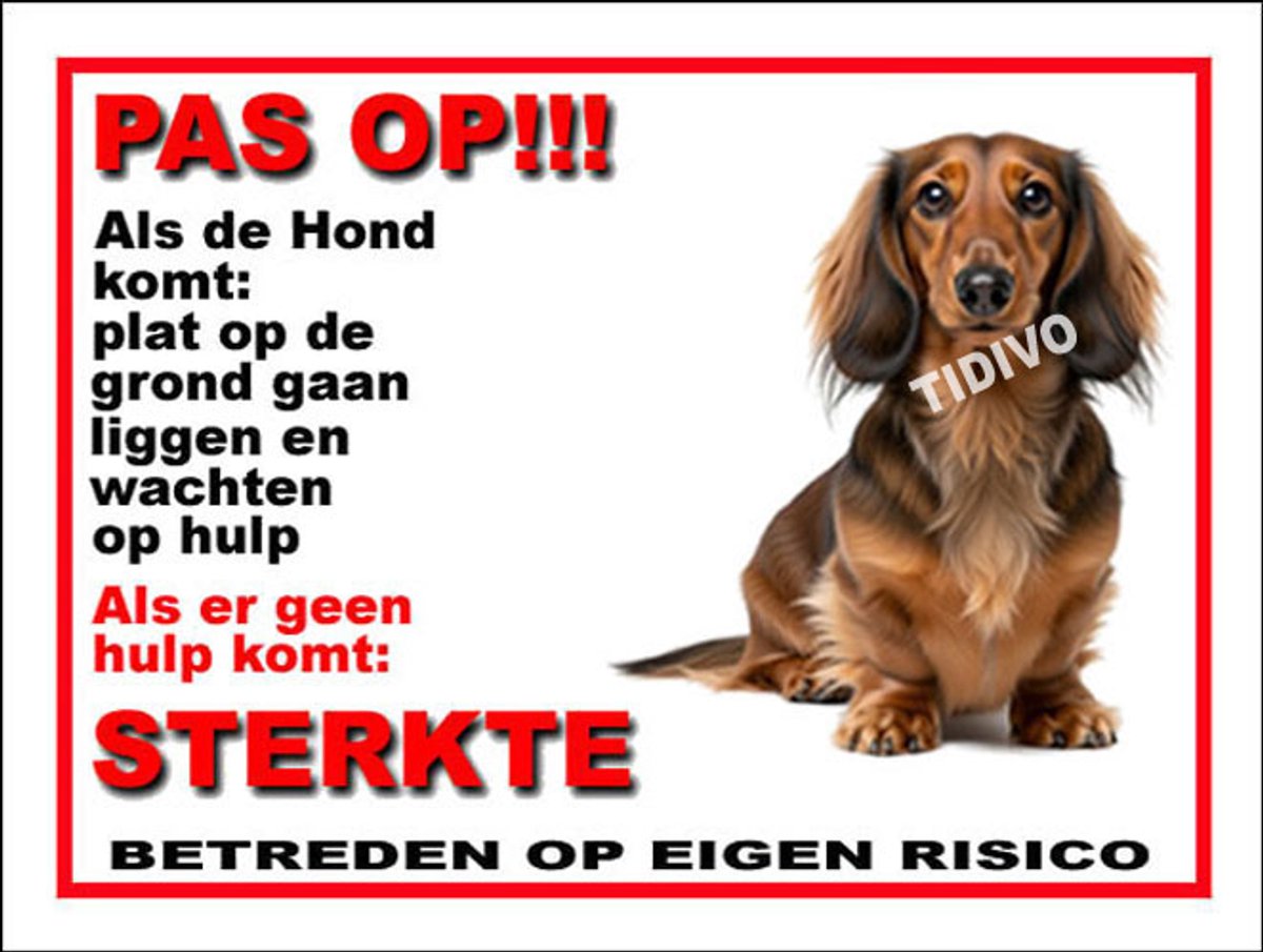 Dashond Dwerg, Langhaar 12