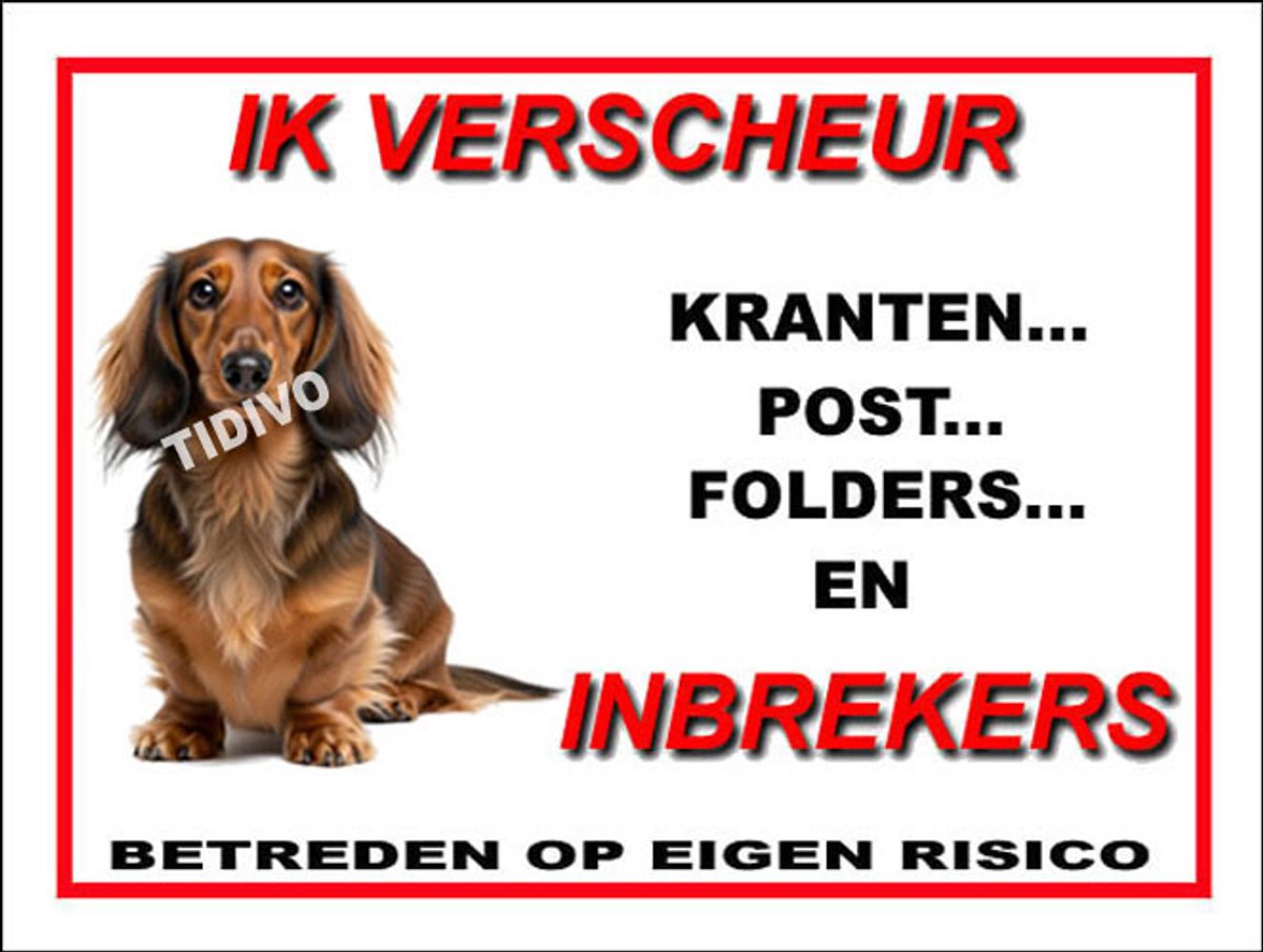 Dashond Dwerg, Langhaar 8