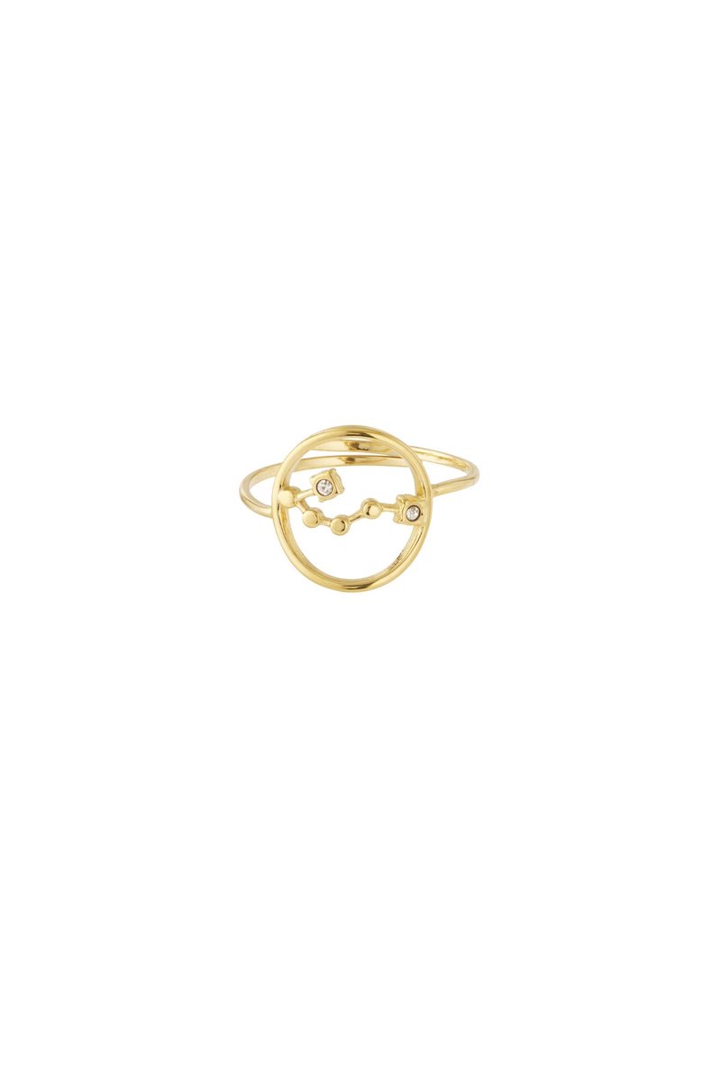 12 zodiac-ringen - Goudkleur