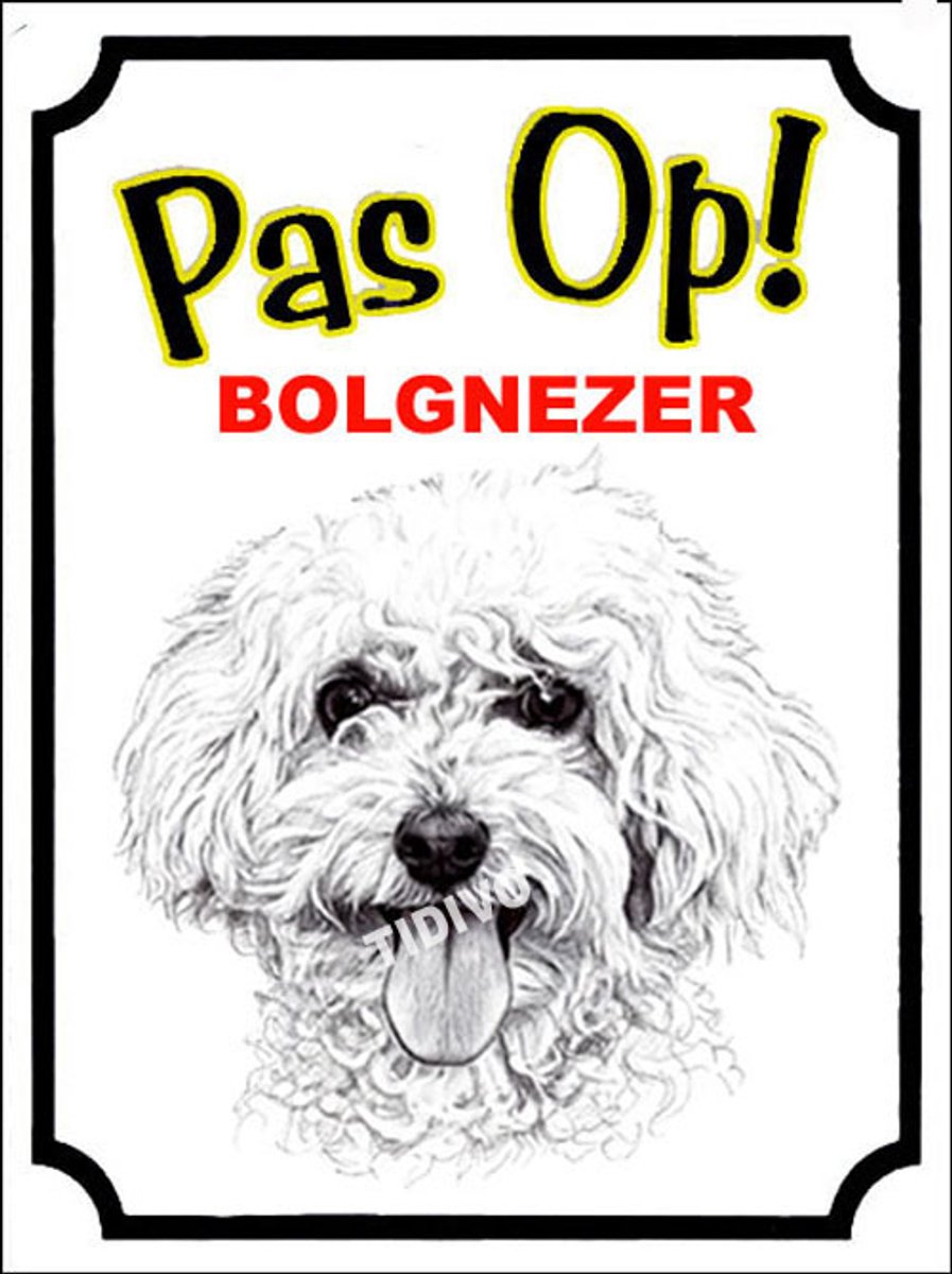 Bolognezer 16