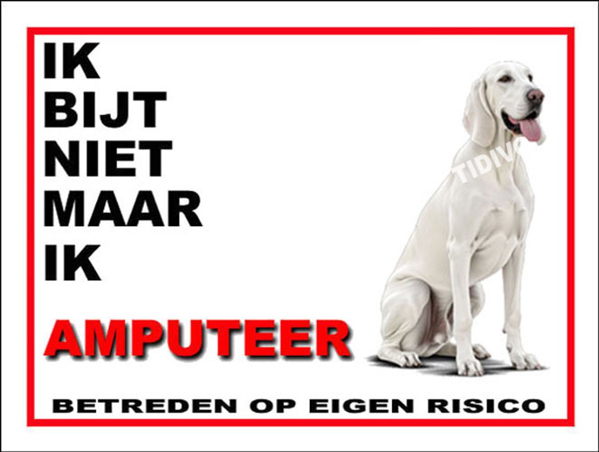 Billy 5