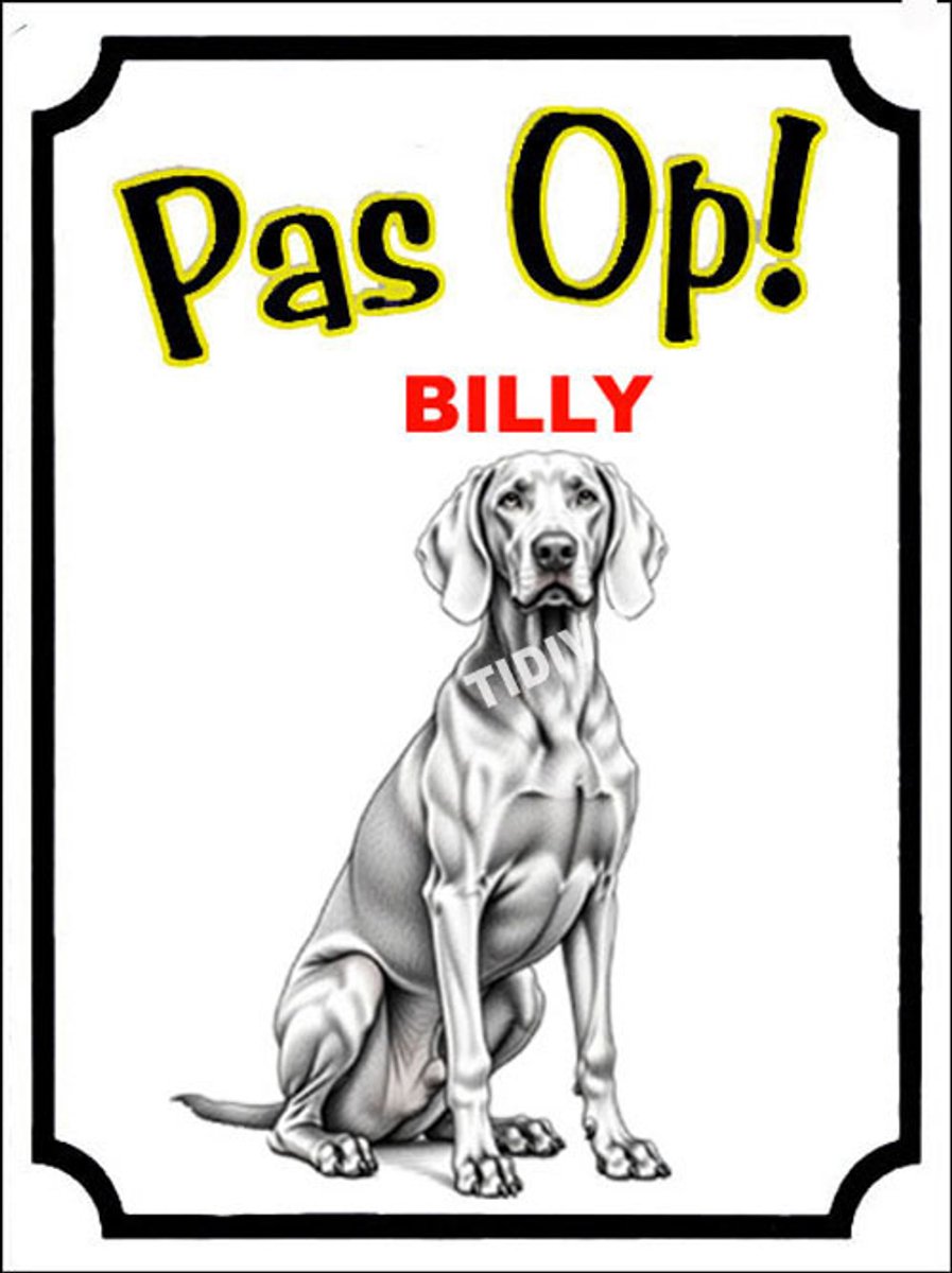 Billy 16