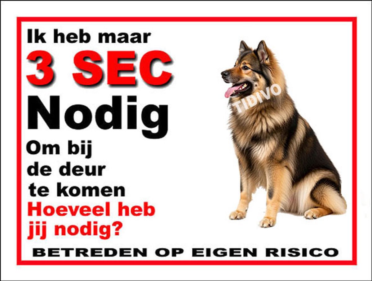 Eurasier 6