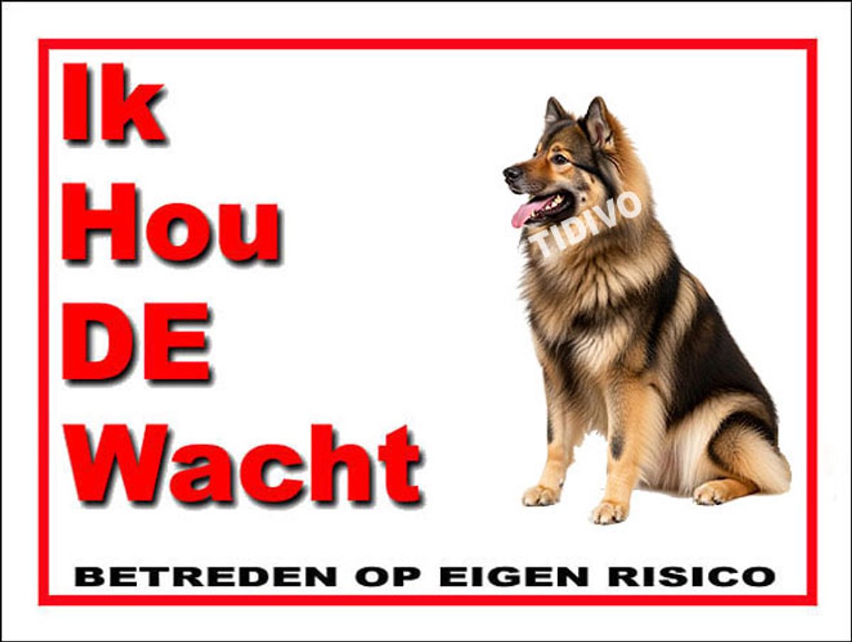 Eurasier 7