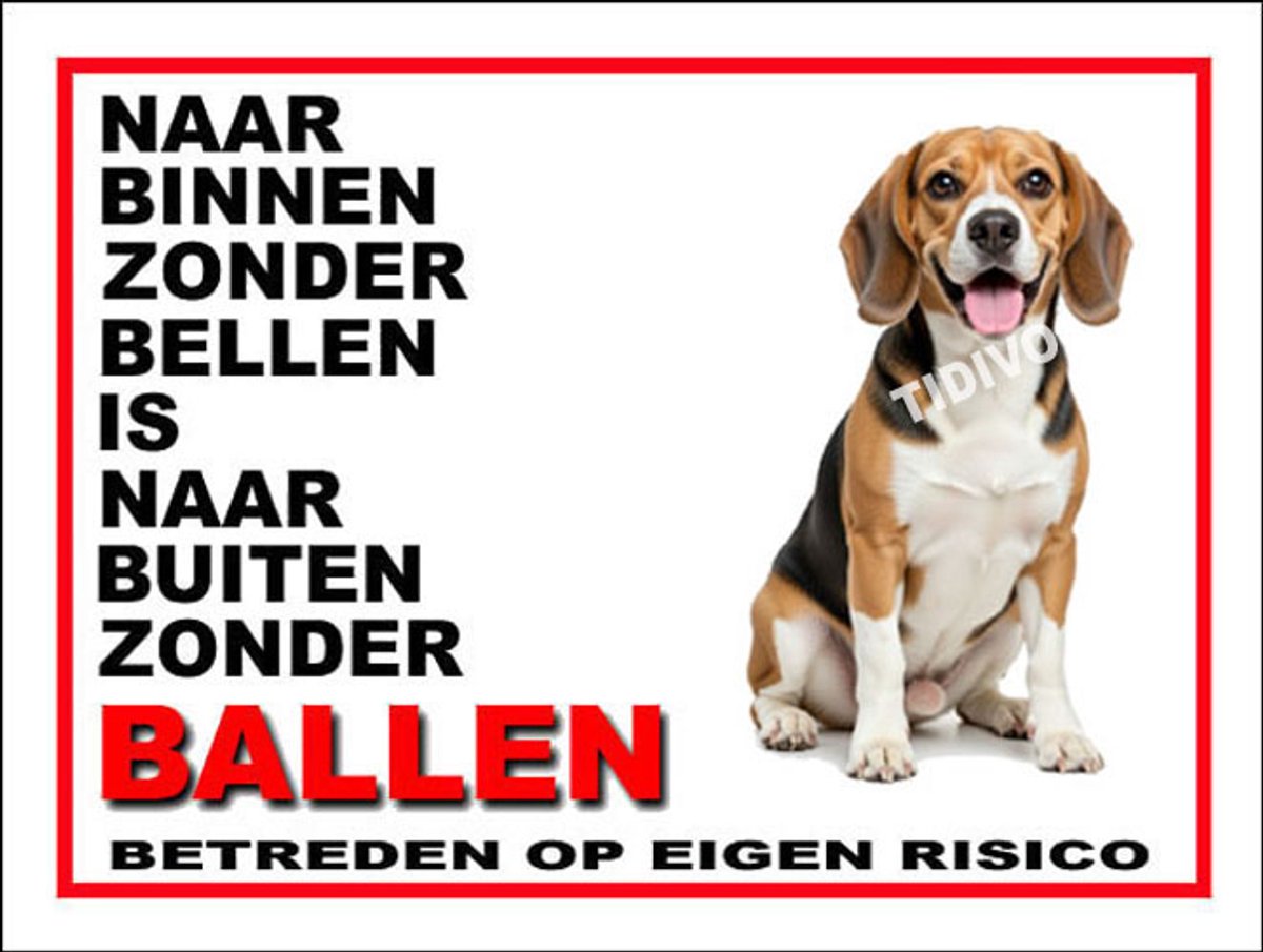 Finse Brak 11