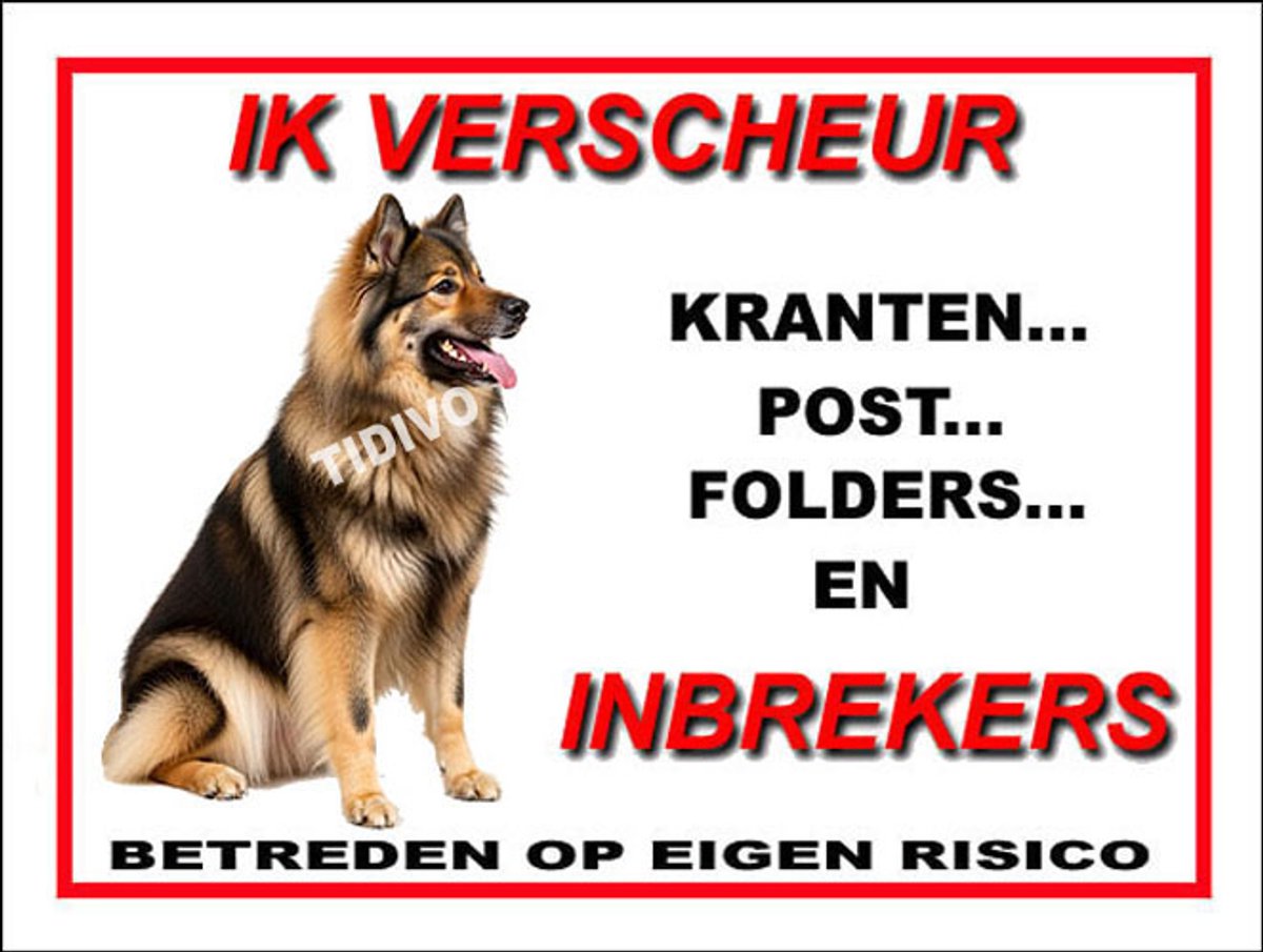 Eurasier 8