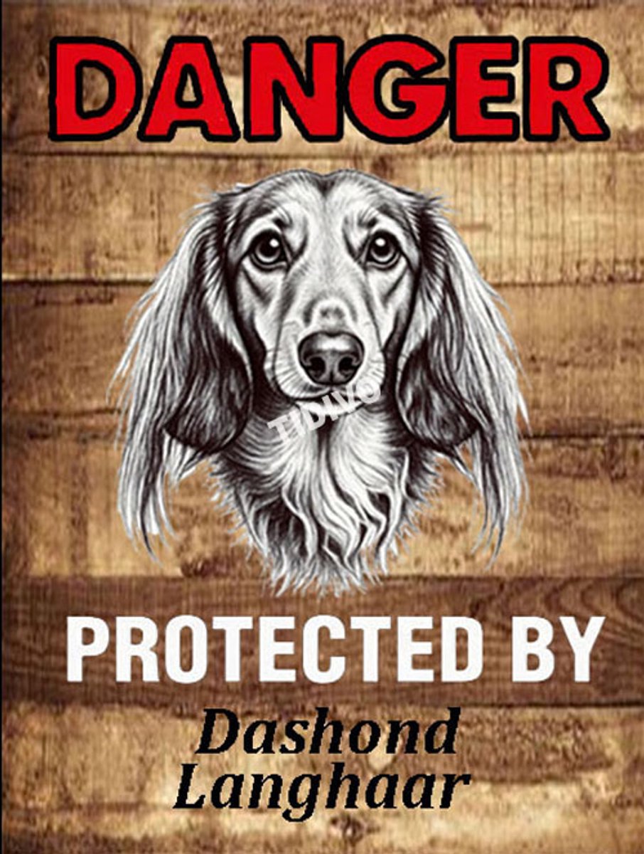 Dashond, Langhaar 19
