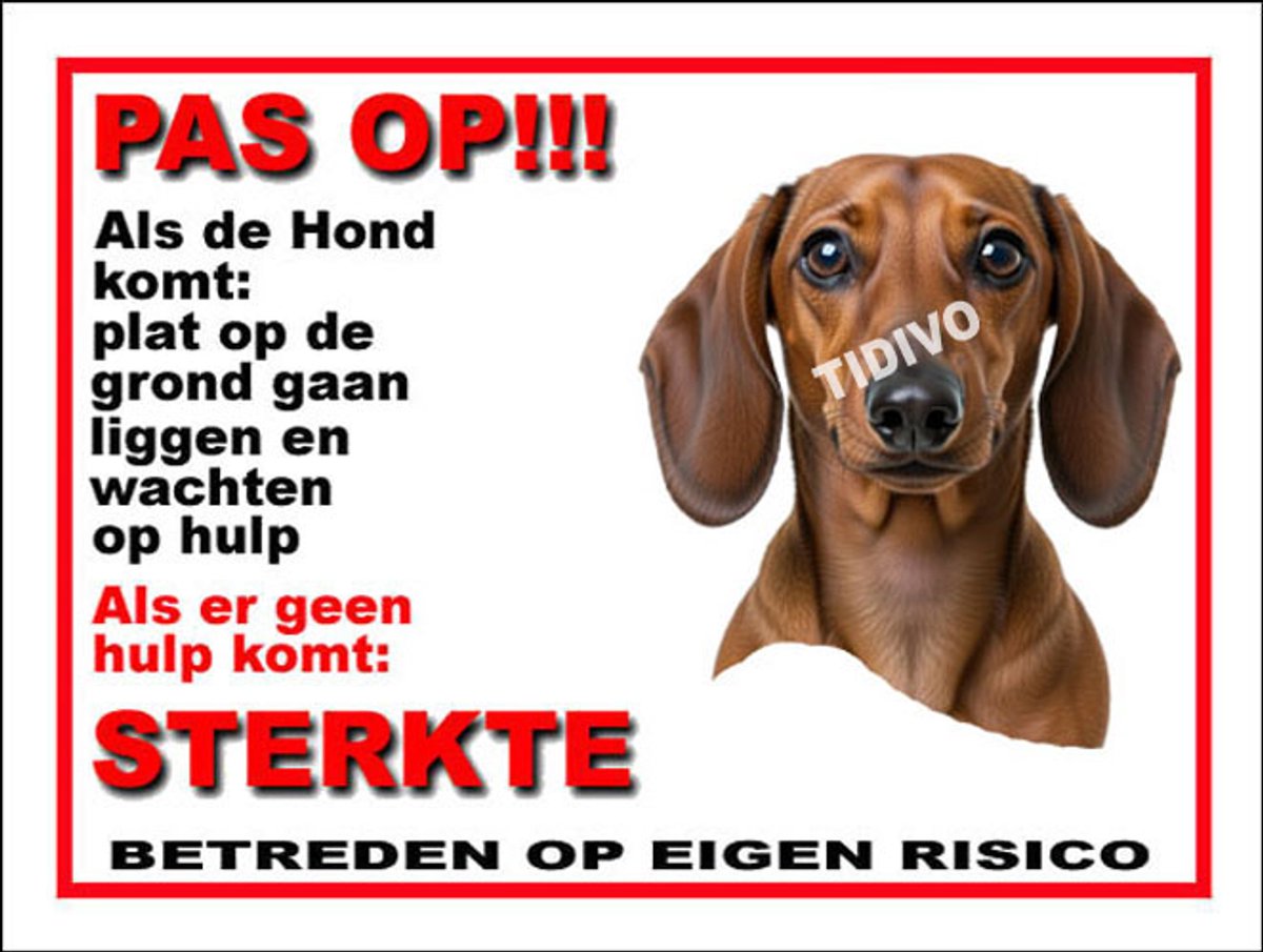 Dashond, Korhaar 12