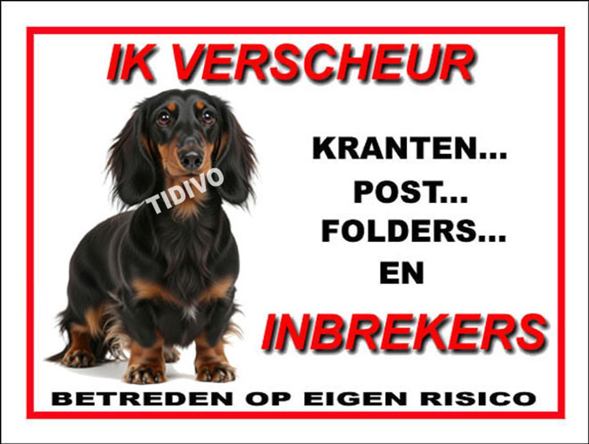 Dashond, Langhaar 8