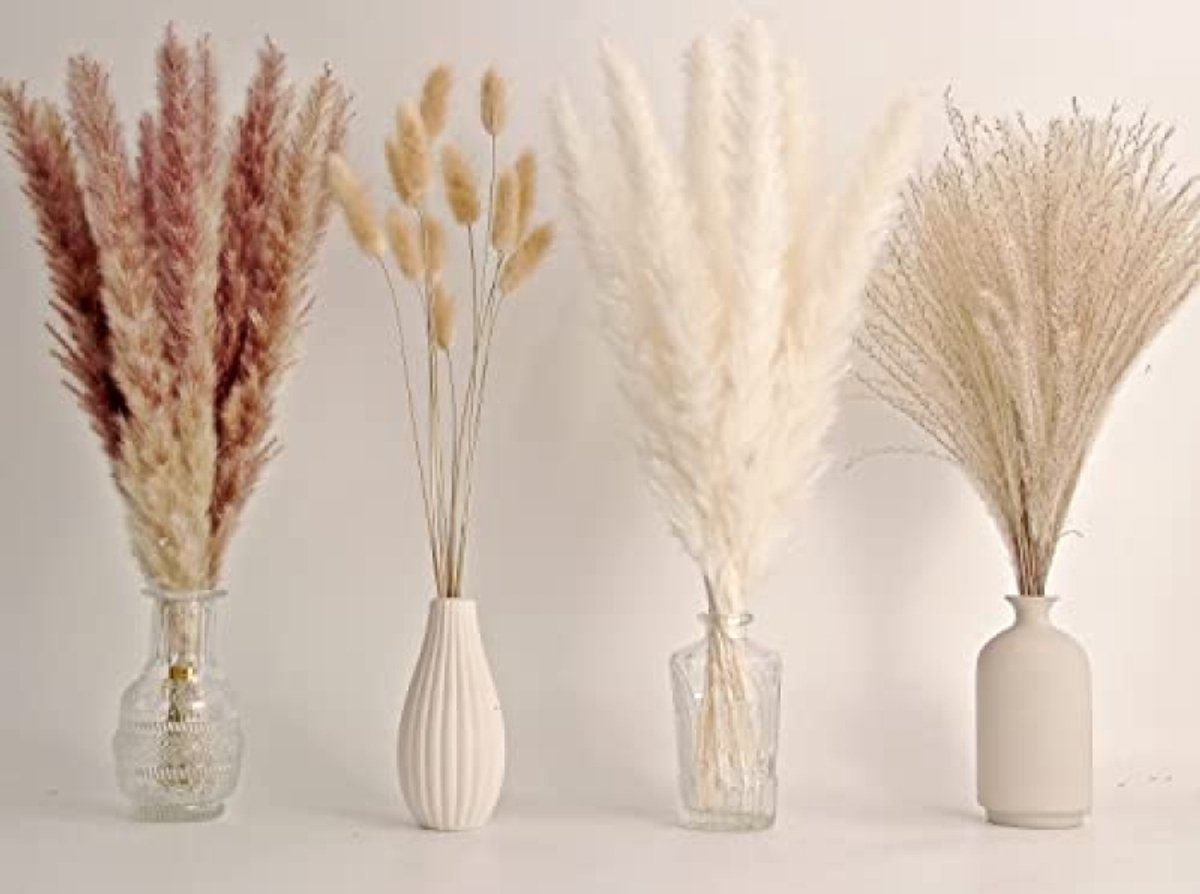 65 stuks Pampasgrasdecoratie, inclusief Pompasbloemen, Gedroogd Rietgras en Konijnenstaarten, Natuurlijk Gedroogd Boeket voor Boho Decoratie Bruiloft