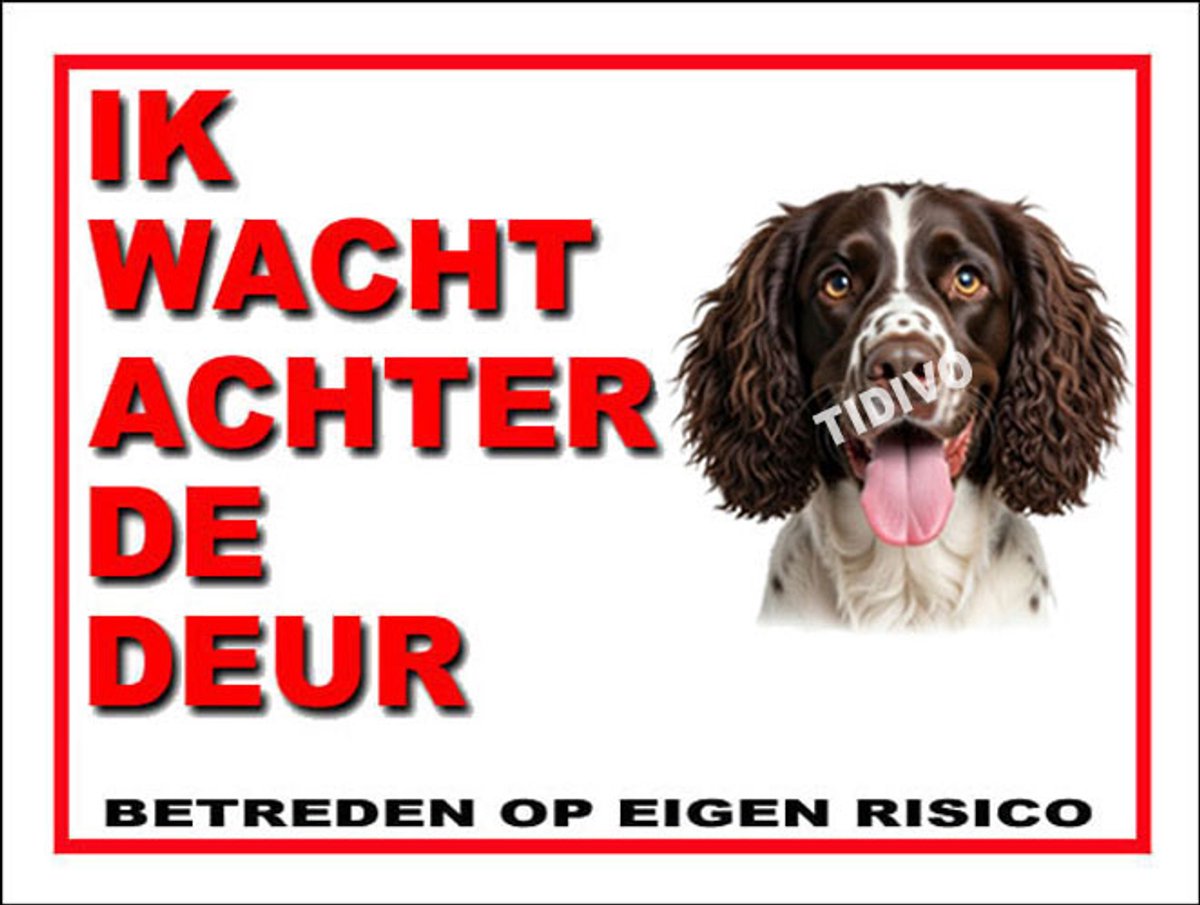 Drentsche Patrijshond 10