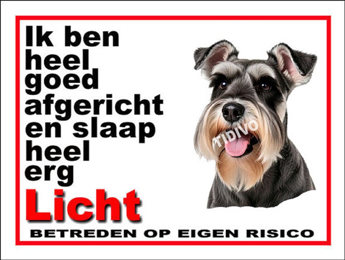 Dwergschnauzer 4