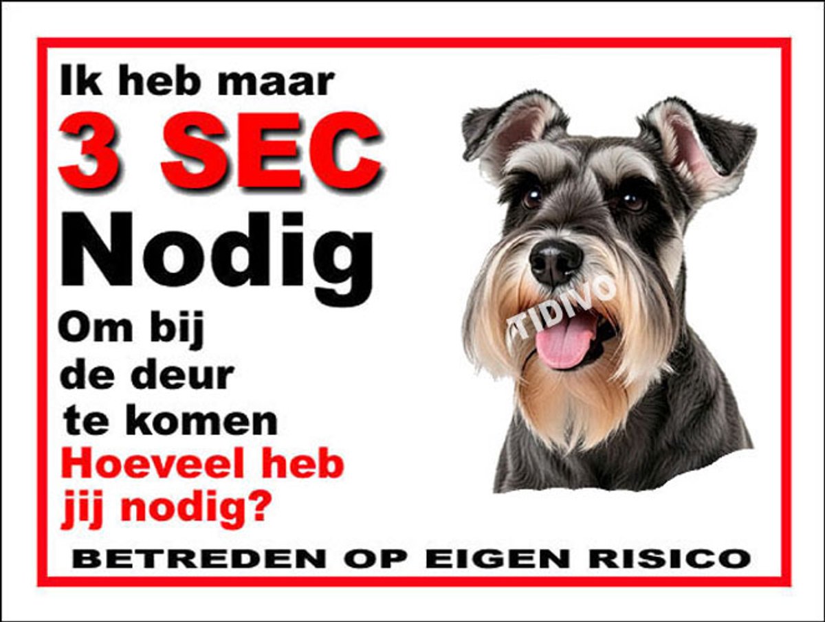Dwergschnauzer 6
