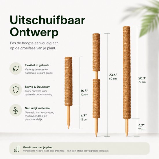 BOTC Mosstok voor Planten - 2x40cm - Plantenstok - Plantensteun - Perfect voor Monstera, Pothos en Meer