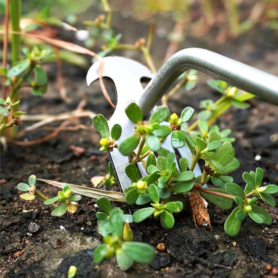 Hand Weed Cutter - 11 Teeth Stainless Steel Weed Cutter Pro met 14 Inch Lange Handgreep - Industrieel Onkruidverwijderaar + Voegen Schraper - Antislip Handvat voor Bestrating Voegen en Tuinieren van Merkloos	 — afbeelding 5