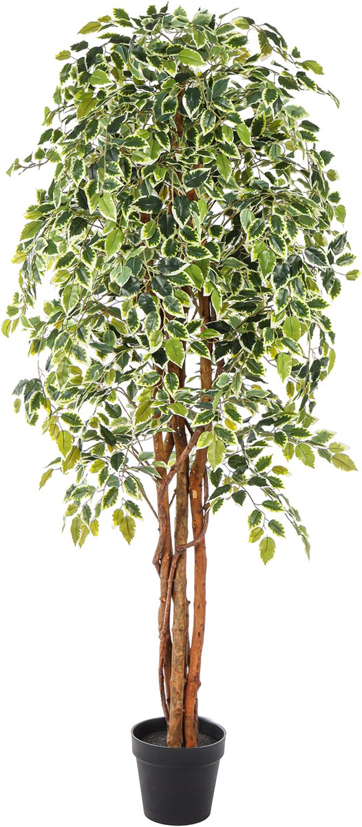 Kunstpalm Kunst Ficus Bont | Kunstboom | 175cm | Deluxe | Kunstboom met houten stam - bontgekleurde kunstplant Donkergroen