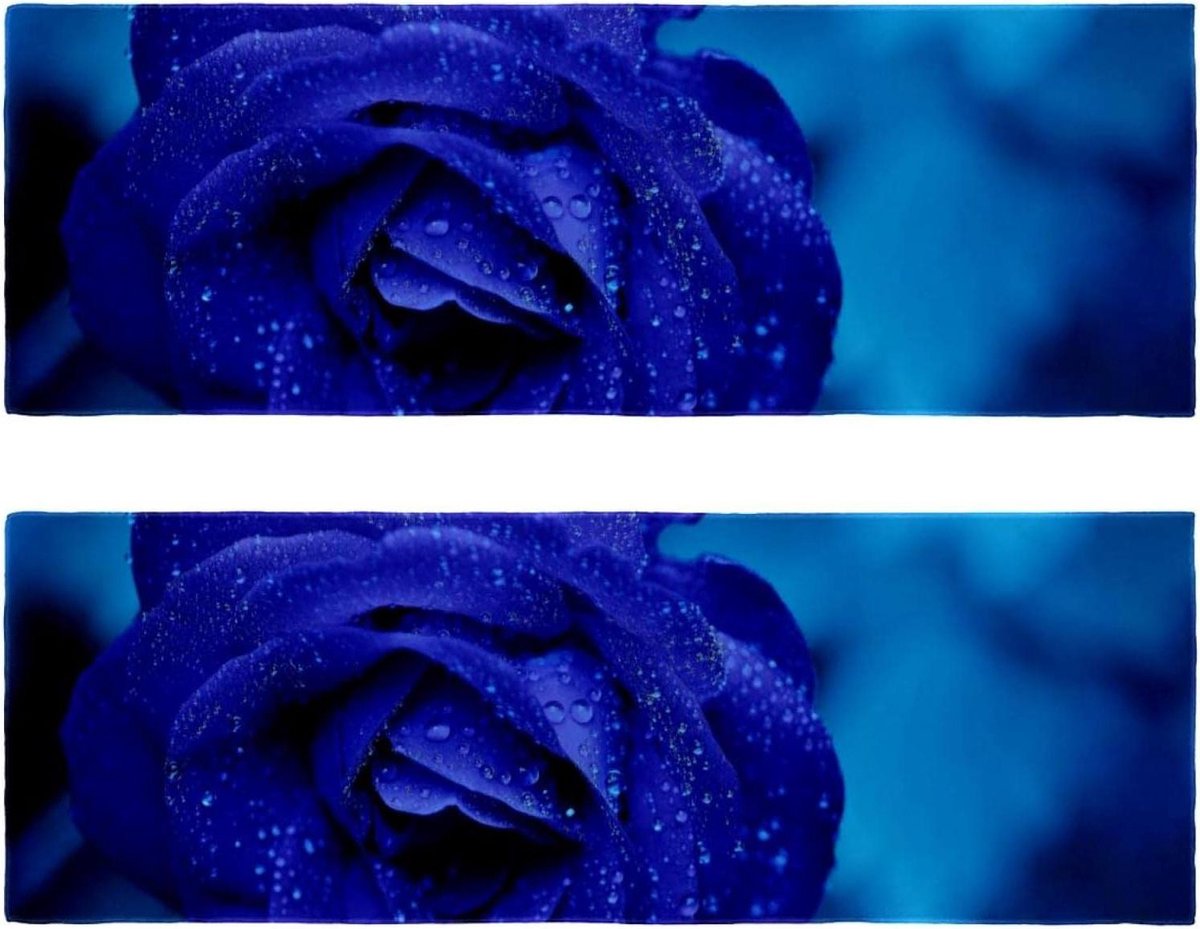 Microfiber Handdoeken - Sport Handdoeken - Outdoor Sport - Lichtgewicht Compact - 2 stuks 29x81cm - Blauw Rose