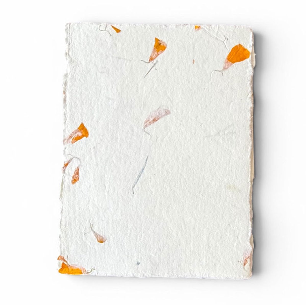 set van 20x A5 kaart Tree Free katoenpapier met goudsbloemen met bijpassende enveloppen