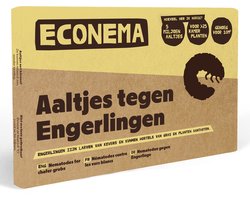 Aaltjes tegen Engerlingen – 100 m² – Biologisch larven bestrijden in gazon – gele plekken & loslatend gras bestrijden