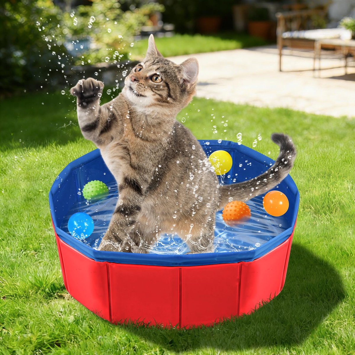 Kattenbad - Opvouwbaar kattenzwembad