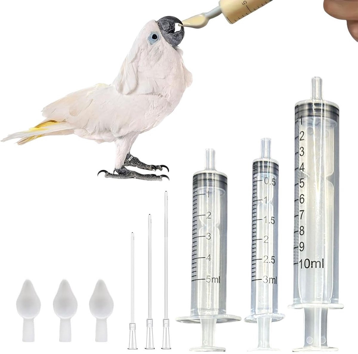 Dailygoods- Vogelvoerset Hoogwaardig Kunststof - Voederbakken 3/5/10 ml - Katheter 8/12/15 cm - Lepels - Geschikt voor Vogels/Papegaaien - Veilig en Duurzaam - Voederbak