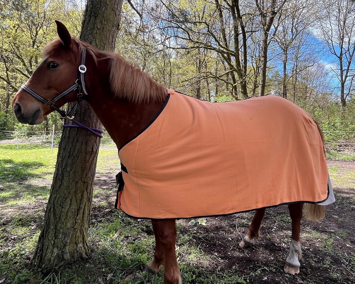 Paardenzweetdeken - Fleece deken paard - Paard droog houden - Dubbelzijdig fleece - Maat 135 - Oranje