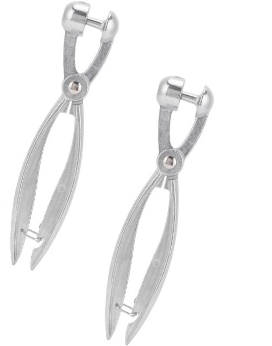 Dailygoods- Kersenontpitter - Aluminium Ontpitter - Kersen/Olijven Ontpitter - Schuifontwerp - 2 Stuks - Duurzaam Materiaal - Pittenonttrekker
