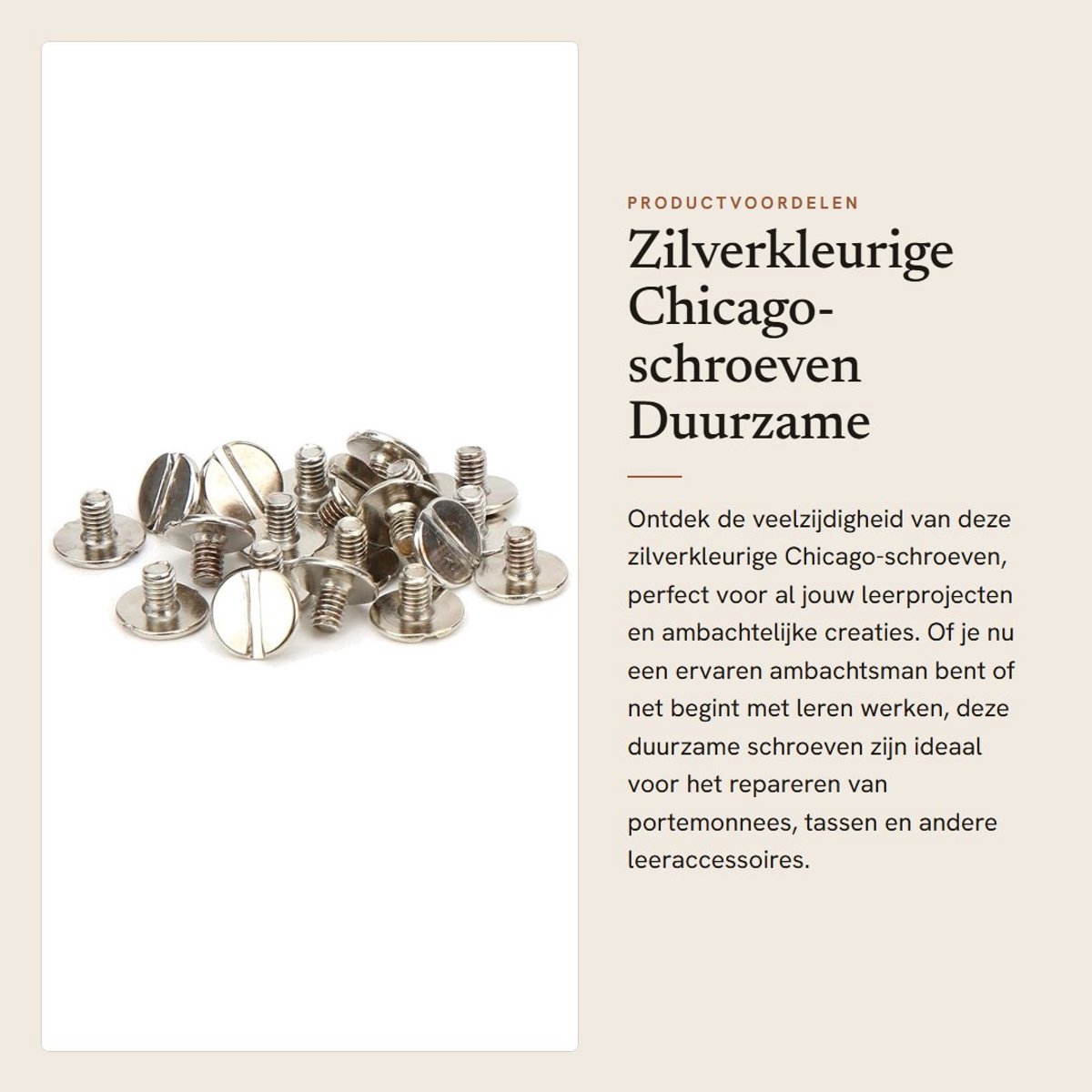 Dailygoods- Chicago-schroeven 300 stuks - Klinknagels voor leer - Duurzaam messing - Veerkoordsloten - Ambachtelijke schroeven - Corrosiebestendig