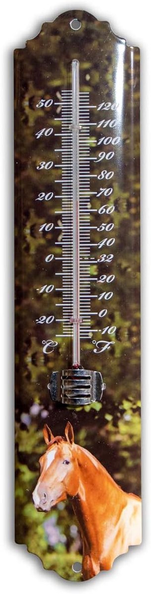 Dierenthermometer - Tuin thermometer - Buiten temperatuur - Paardenmotief - 295 cm hoog - Groen